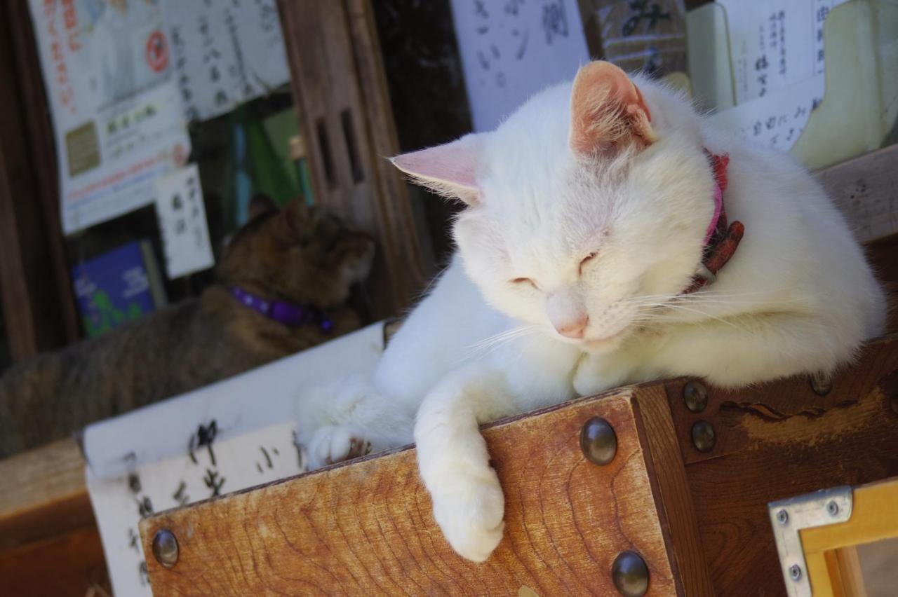 Hotel Arrows Arashiyama Kioto Zewnętrze zdjęcie