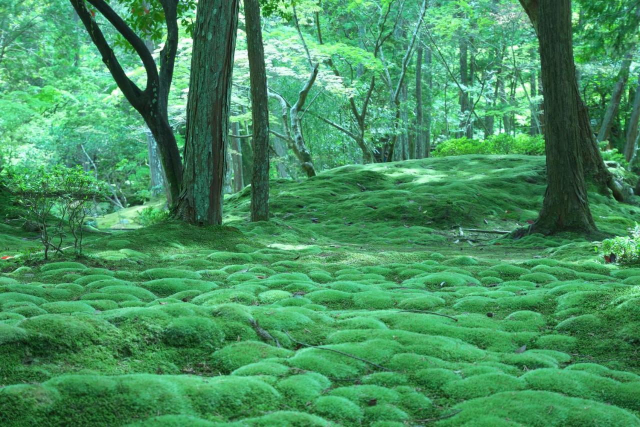 Hotel Arrows Arashiyama Kioto Zewnętrze zdjęcie